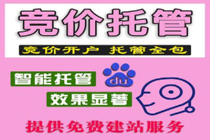 SEM推广案例：行业竞争分析